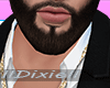 DX-Beard