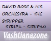 [V]DAVIDROSE-THESTRIPPER