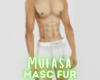 mufasa | masculine fur