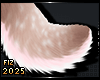 . Adore | Tail