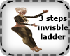 KPR::3StepsInv.Ladder