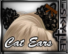 Lacey Cat Ears[OrangeBow