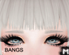 M' Bangs Albino Grey II