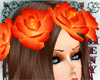 [Is] Crown Orange Roses