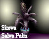 Sireva Salva  Palm