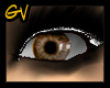 ![GV] Brown real eyes