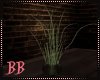 BB|WEstern Plant 2
