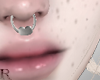 nose septum