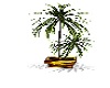 House Plant