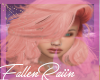 Fion Peach Rose