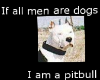 If men r dogs pitbull