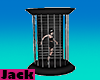Black Dance Cage