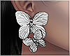 Papillon Silver Earrings