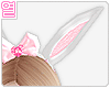 [Y] Easter Bunny Ears