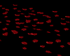 ROSE PETALS