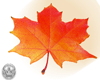 ♕ Fall Leaf