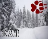 winter snow view filler