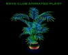*CM*RAVE ANIMATED PLANT2