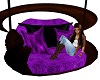 Purple Cuddle Swing
