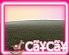 CaYzCaYz CarouselLand