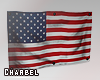 c̶ | United States Flag