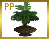 [PP] Envy Plant