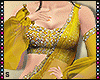 Indian Luxe Saree