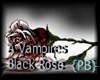 {PB} Vampires Black Rose