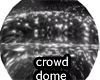 crowd dome