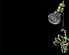 Z* Belly Dancer V. Slvr