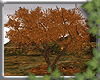 ~E- Autumn Tree Anim Lt