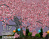 Spring Sakura Tree
