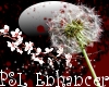 PSL Dandelion Enh