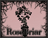 RB| MPG Roses