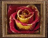 Burgundy Gold Rose Art