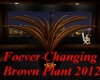 Animated brown plant