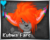 D~Kubwa Ears:Orange(M/F)