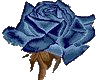 HW:: Blue Rose