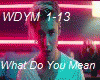 WHAT DO YOU MEAN +DANCE