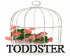 Flower Cage