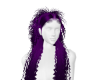 Purple Delia