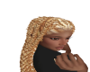 Blonde kighlights braids