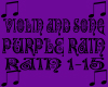 PURPLE RAIN VIOLIN