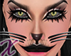 X* Xclusive CatwomanHead