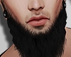 Long Beard