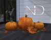 ND| Pumpkins