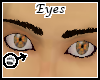 Tck_Chestnut Eyes