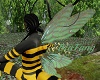 [BT] Insect Wings