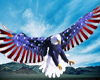 (JB) USA Eagle