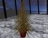 (p8ly)Pine Plant Red Pot